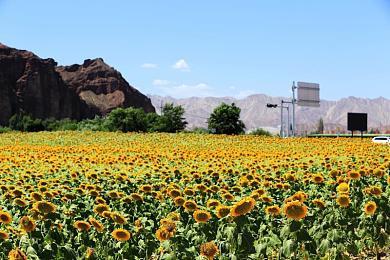 《死亡循环》制作完毕 已送厂压盘不再跳票